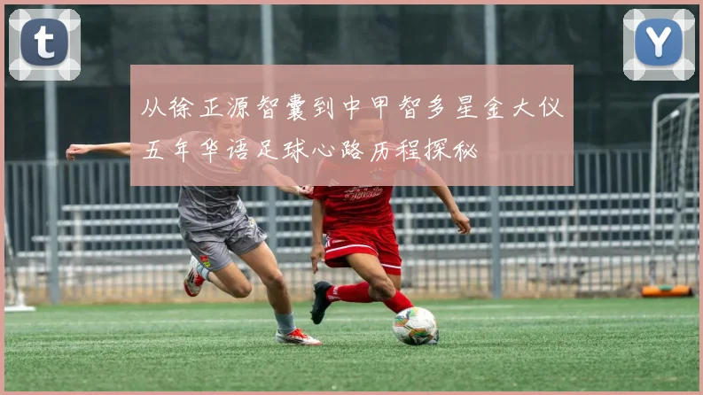 从徐正源智囊到中甲智多星金大仪五年华语足球心路历程探秘